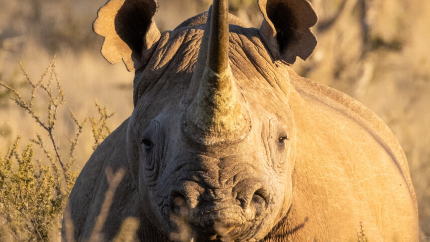 Family Adventure in Southern Africa