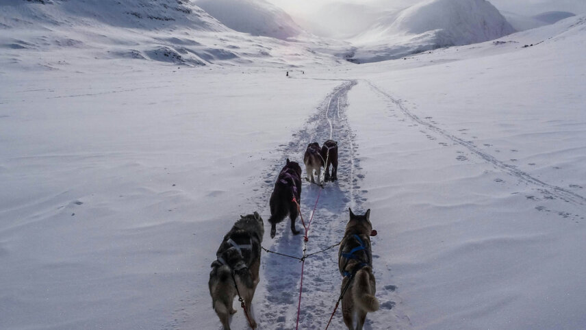 Finland & Sweden: Adventures in Lapland