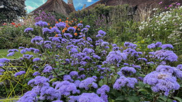 9 Day Glorious Gardens of England & Chelsea Flower Show (Abercrombie & Kent)