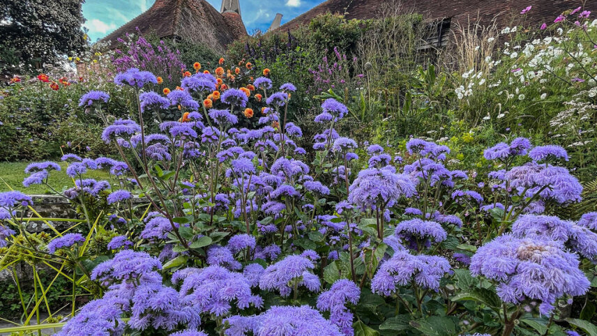 Glorious Gardens of England & Chelsea Flower Show