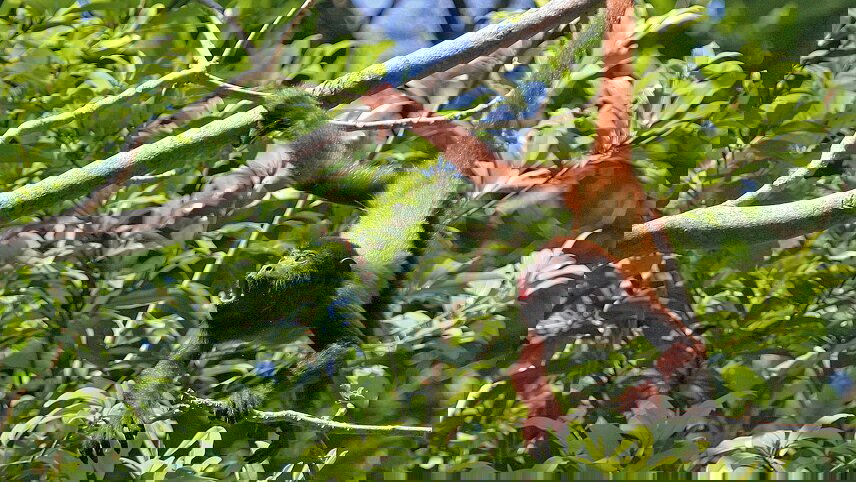 Hidden Wonders of Colombia