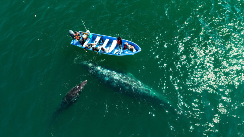 Mexico by Private Jet