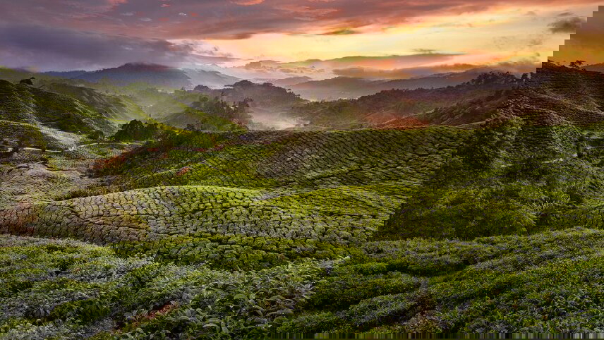 Malaysia & Singapore: Tapestry of Cultures