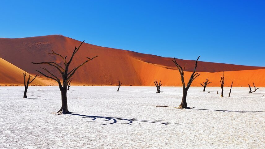 Namibia: Dunes & Desert Safari