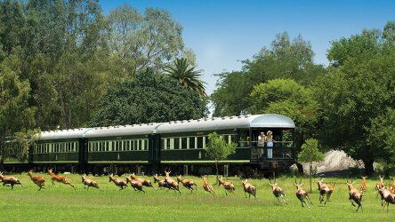 13 Day Southern Africa Safari & Rail Adventure (Abercrombie & Kent)