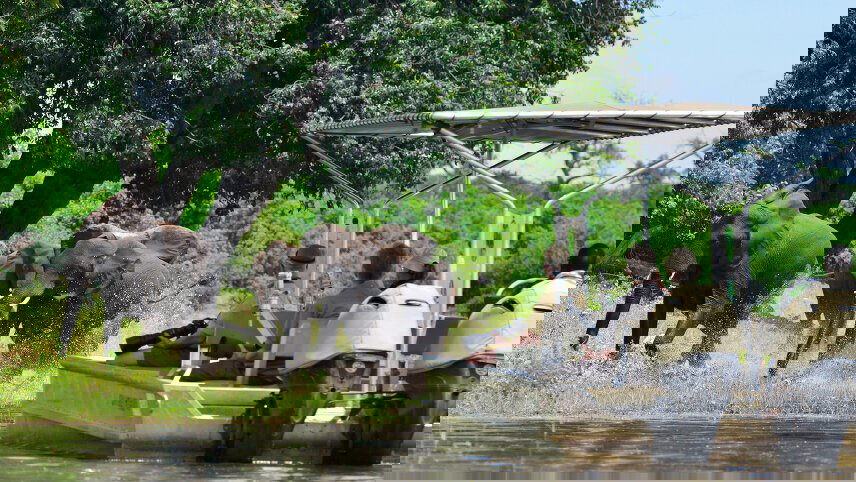 Southern Africa Safari & Rail Adventure