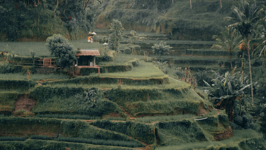 Singapore to Bali: Malaysia by Luxury Rail
