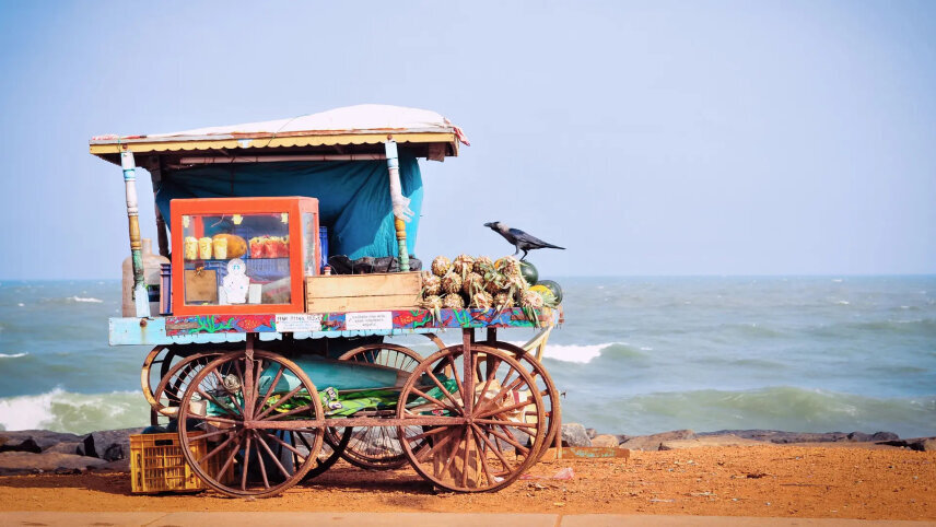 South India: Temples & Backwaters