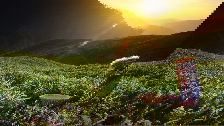 Singapore & Malaysia: Tapestry of Cultures