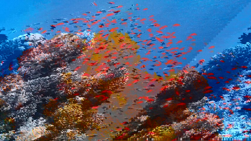 South Pacific Cruise: Papua New Guinea & Solomon Islands