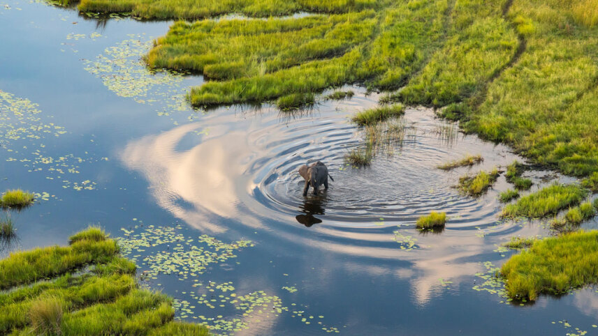 Ultimate Botswana Safari