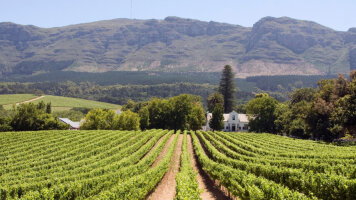11 Day Ultimate South Africa Adventure (Abercrombie & Kent)