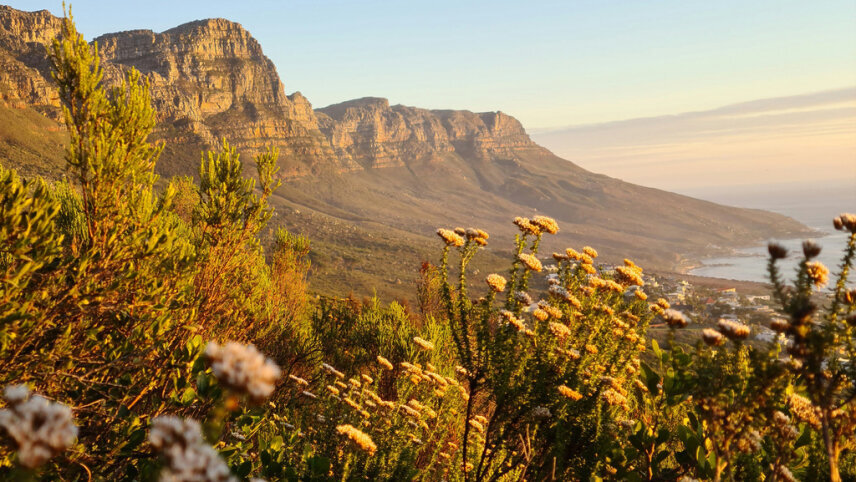 Ultimate South Africa Adventure