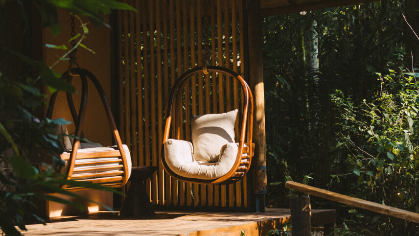 Uganda: Into the Wild