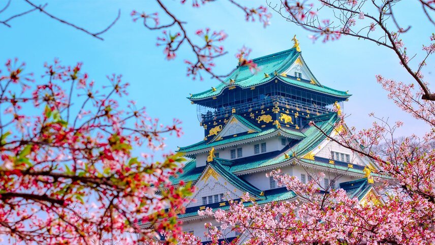 Wonders of Japan Cruise: Cherry Blossom Season