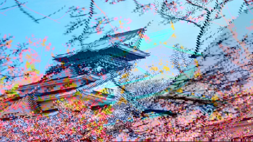 Wonders of Japan Cruise: Cherry Blossom Season