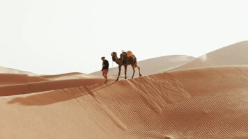 12 Day Wonders of Morocco: From Souks to the Sahara (Abercrombie & Kent)