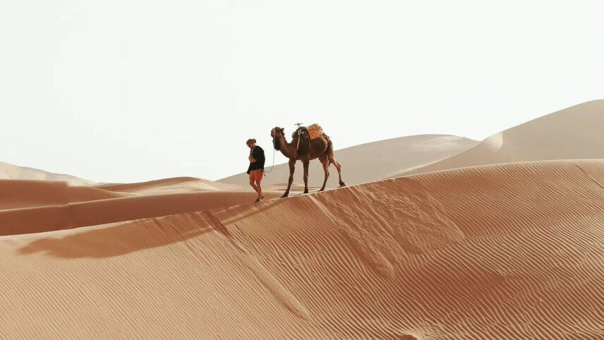 Wonders of Morocco: From Souks to the Sahara