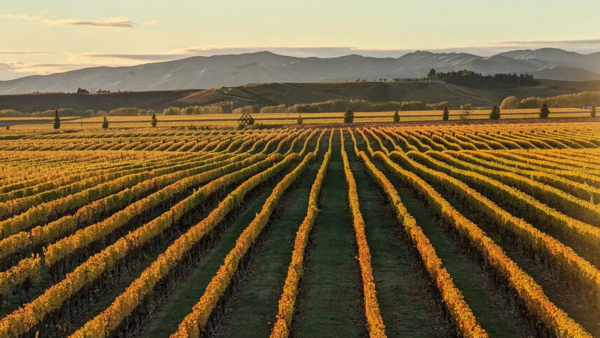 Wonders of New Zealand