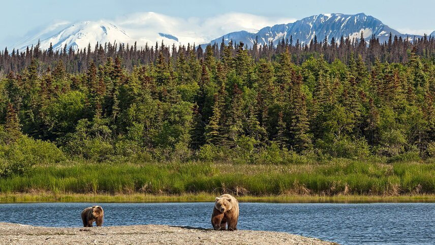 Wings Over Alaska