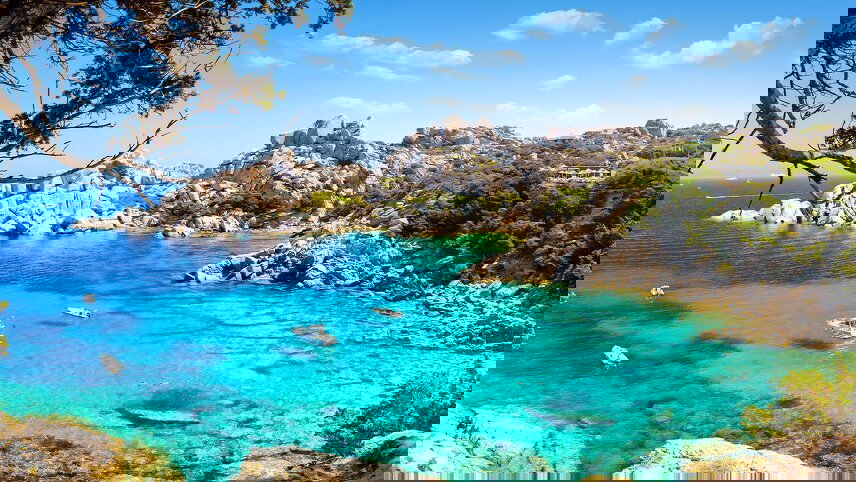 Wings Over Italy & Its Islands