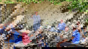 Food and Wine Tours Tours