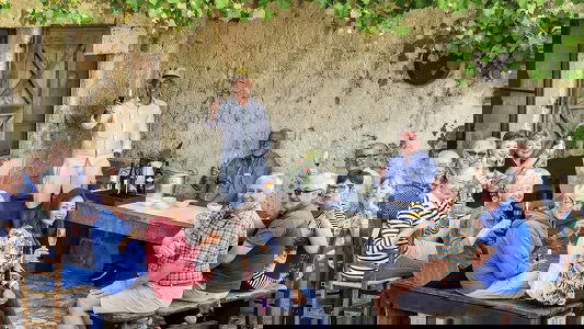 Food and Wine Tours Tours