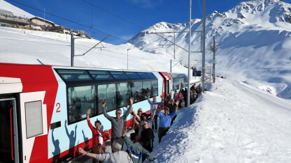 Albatross Winter & Festive Tours