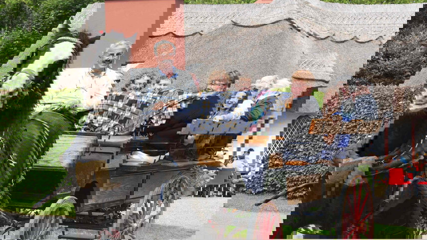 The Ireland Connection