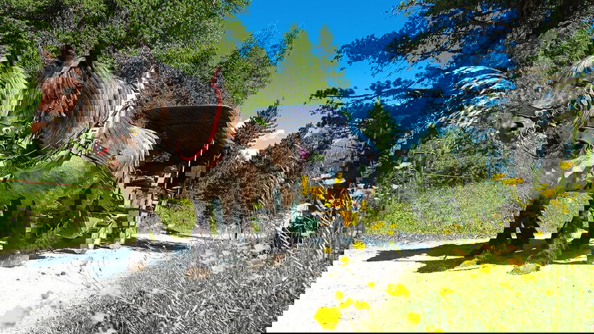 Swiss Grandeur featuring the Glacier Express