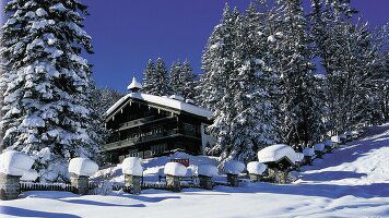 8 Day Austrian Christmas Holiday (Albatross)