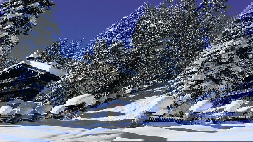 Austrian Christmas Holiday