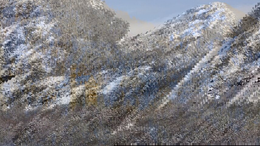 Christmas in an Italian Castle