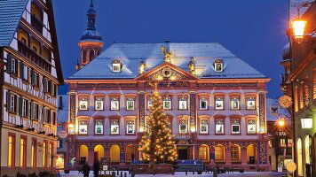 8 Day German Christmas Holiday (Albatross)