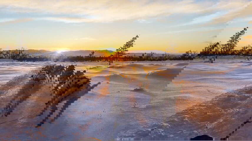 Northern Lights, Ice Hotels & Huskies