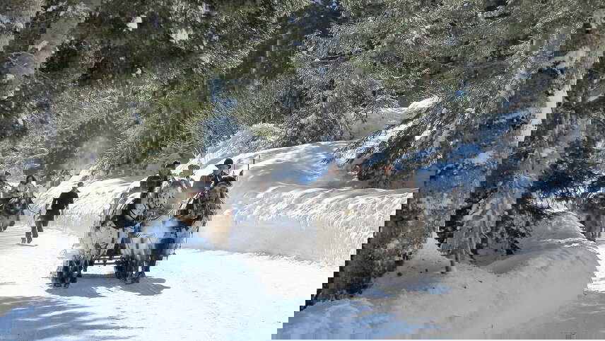 New Year in Austria, Slovenia & CastelBrando