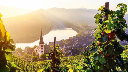 9 Day German Riverscapes from Passau to Trier (Amadeus)