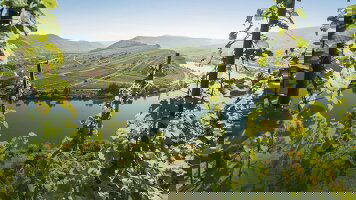 9 Day German Riverscapes from Trier to Passau (Amadeus)