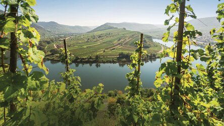 9 Day German Riverscapes from Trier to Passau (Amadeus)