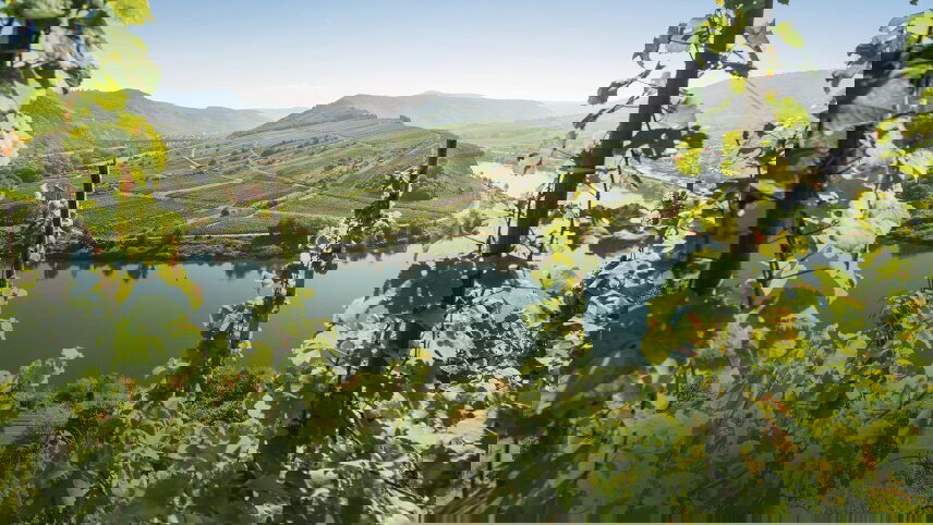 German Riverscapes from Trier to Passau