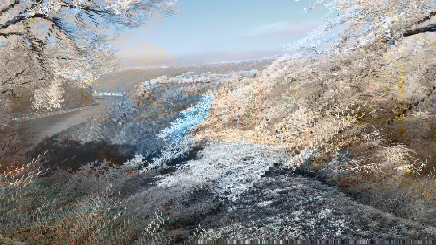 New Year's Eve Cruise on the Rhine