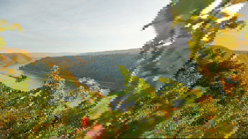 Classical Rhine Cruise