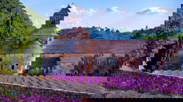 8 Day Treasures of Burgundy & Provence: Rhône & Saône (Amadeus)