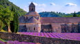 8 Day Treasures of Burgundy & Provence: Rhône & Saône (Amadeus)