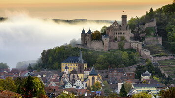 8 Day Rhine & Danube Symphony (Amadeus)