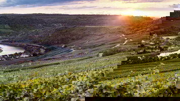 8 Day Saar & Moselle Fairytales (Amadeus)