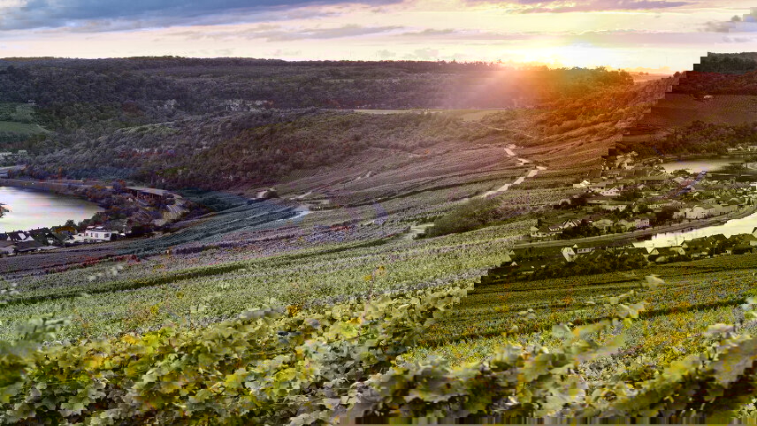 Saar & Moselle Fairytales