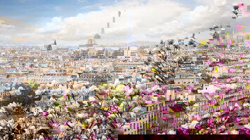 8 Day La Belle France: Paris, Normandy & the River Seine (Amadeus)