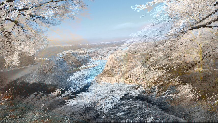 Christmas Cruise on the Rhine