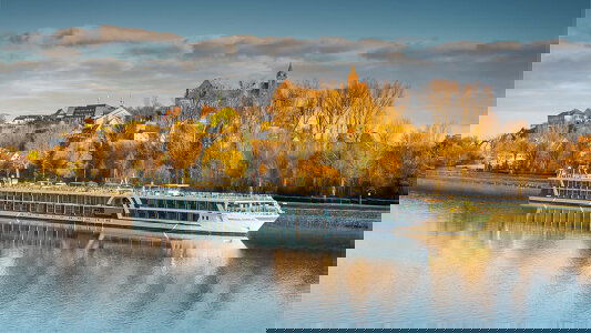 Amadeus Cara Amadeus Cara